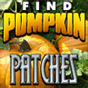 http://www.halloweenattractions.com/cms/everything_pumpkins.cfm