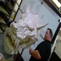 sculpting/projects
