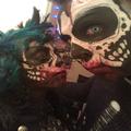 Wolfe Face Art & FX
