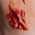 Illusion Transfers Large Wound Appliance