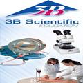 American 3B Scientific