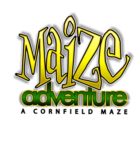 logo in profile