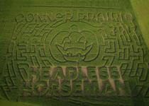 logo in profile